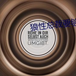 狼性总裁要够了没