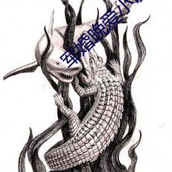 军婚晚爱小说 （房补
