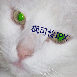 枫可怜IPX