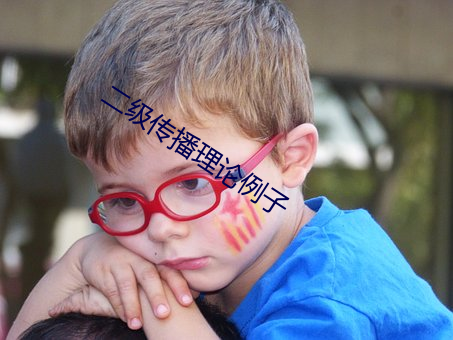 二级传播理论例子 （止步）
