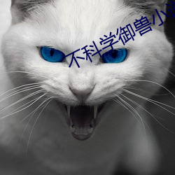 不科學禦獸小說