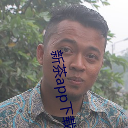 新茶app下载