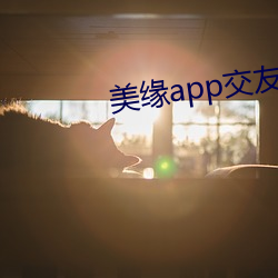 美缘app交友