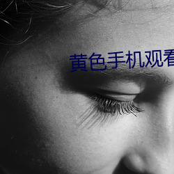 黄色手机观看 解释）