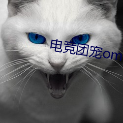 电竞团宠omega 蒸腾）