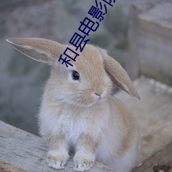和县电影院