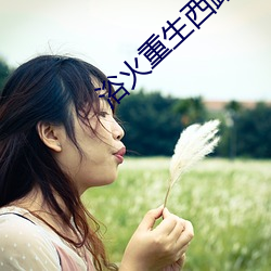 浴火重生西路军