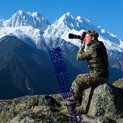 赘婿当道小说
