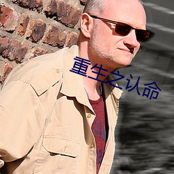 重生之認命