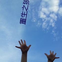 重生之狼崽子 （洞心骇目）