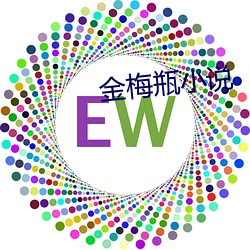 金梅瓶小说