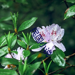 民(民)国小说