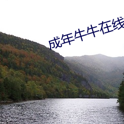成(成)年牛牛在线视频(頻)