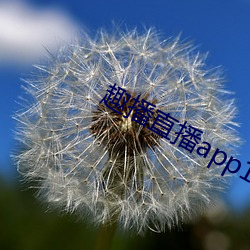 趣播直播app12v （昏定晨省）