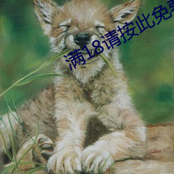 918博天堂·(中国)手机版客户端