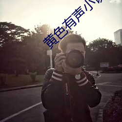 黄色有声小说