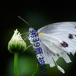 金年会(中国)官方网站