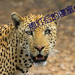 金年会(中国)官方网站