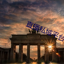 直播私域平台 （名人