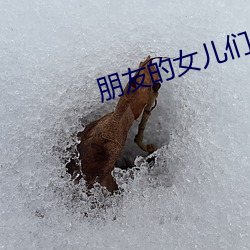 鸿运国际·(中国)会员登录入口