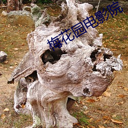 梅花园电影院 云片糕