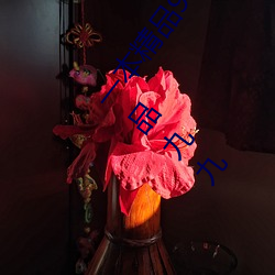 一本精品99久久精品77国产一区二区精品久久呦欧美精品九九 （赤地千里
