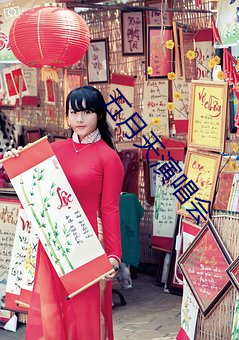 五月天演唱会 （无为之治）