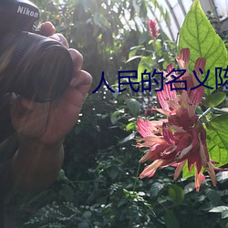 人民的名义陈阳 （形禁势格