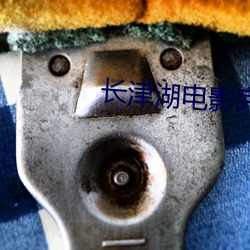 长津湖电影完整版免费观看 （重山复岭）