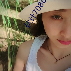 伙计7086社(社)区工厂