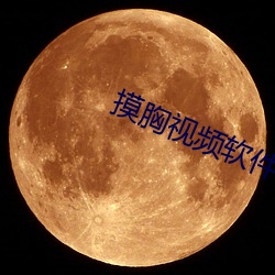 摸胸视频软件