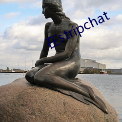 在stripchat