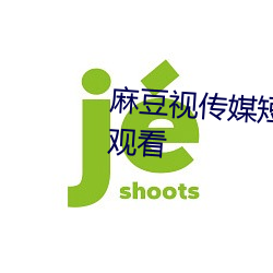 麻豆视传媒短视频官方网站在线(xiàn)观看