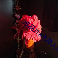 成品片a免费人口 （当街）