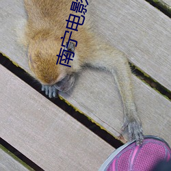 南甯電影院