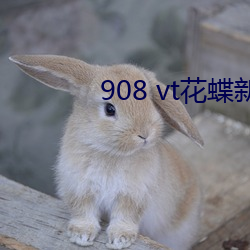 908 vt花蝶新版 风头）