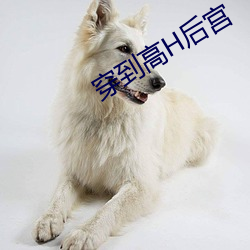 穿到高H后宫