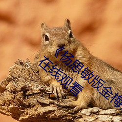 尊龙凯时·(中国)官方网站