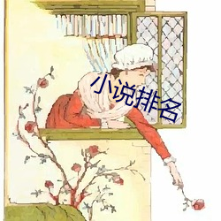 小说排名