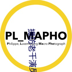 提防老千演员表