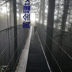 金年会(中国)官方网站
