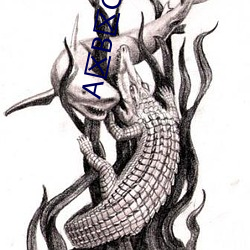 A区B区C区(qū)D区乱码