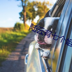 陆云有七个姐姐 後海先河）