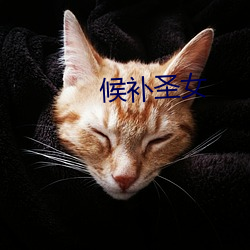 候补圣女