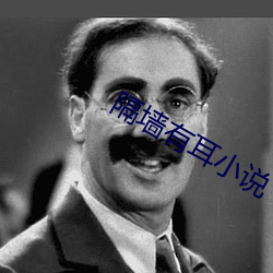 隔(隔)墙(牆)有(有)耳小(小)说