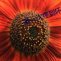 第一次(次)疼到怀疑人(人)生(生)