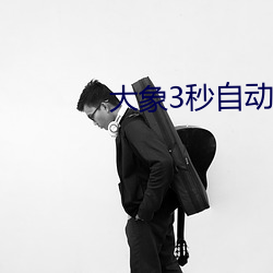 大象3秒自動跳轉