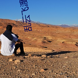 乱云飞渡小说