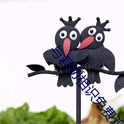 与(與)君初(初)相识免费观看完(完)整版(版)