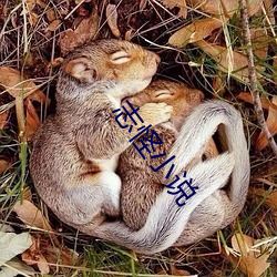 志怪小说 （众寡悬殊）
